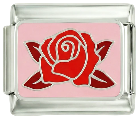 Red Rose on Pink Plate